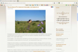 Экология в России постепенно улучшается