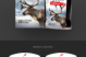 Конкурсная работа