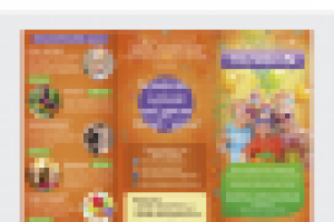 Буклет ТИЛИБОМ