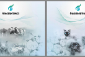 Дизайн выставочного стенда для фарм компании