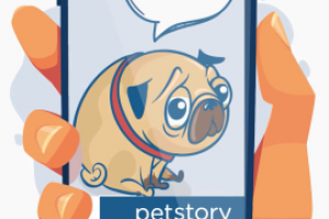 Креативное видео для ветеринарной компании