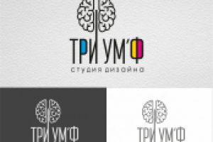 Работа 3044115