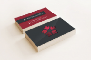 Работа 2501579