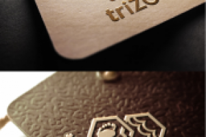 Логотип TriZOG