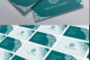 Фирменный стиль Stella Maris