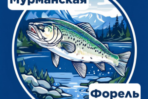 Мурманская форель -2