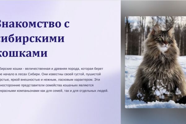 img4610420.png