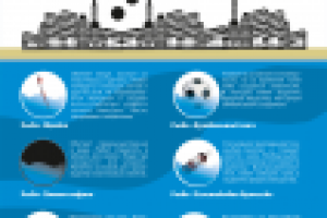 социальный проект