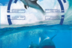 социальный проект