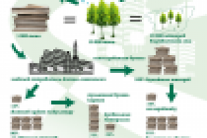 Социальный проект, польза сбора макулатуры