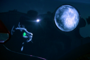 Лючок и крыло. Фольксваген Поло. Кот и луна.