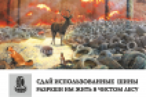 социальный проект