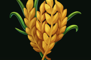 Иконка, пшеница