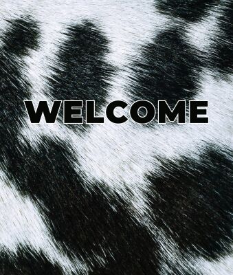 img4271320.png