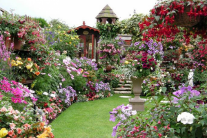 Как подобрать цветы для своего участка