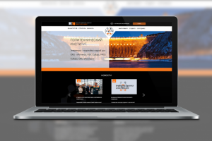 Сайт института