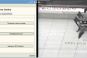 Интеграция с камерами компании ДевЛайн (www.devline.ru)