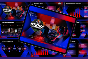 Презентация франшизы сети центров Киберспорта