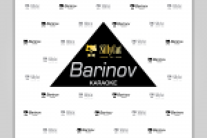 Дизайн пресс-волла