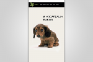 Дизайн ролл-апа