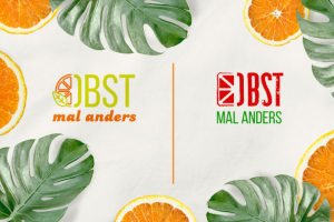 Логотип для фруктовых чипсов