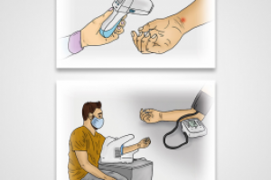 Серия иллюстраций для плакатов