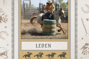 Фото календарь.