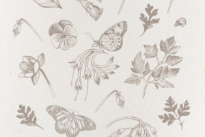 Ботанические зарисовки.