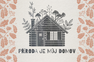 Лесные мотивы.