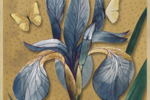 Ирис. Графический постер.