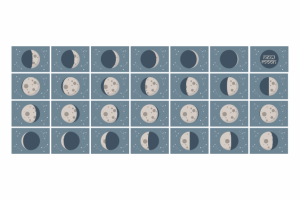 Иконки для платформы Getcourse