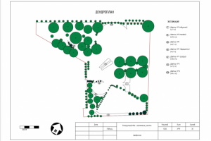 Дендроплан