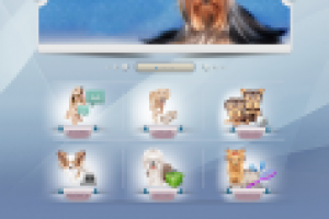 Сайт - магазин. Товары для животных