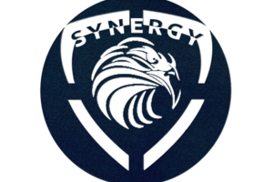 Логотип для компании по предоставлению охраны