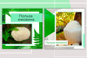 Посты для соц сетей