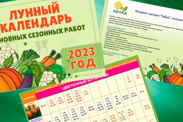 img4479635.png
