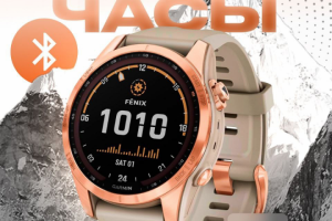 Инфографика для WB