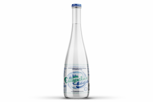 Разработка логотипа+этикетка "Сибирская вода"