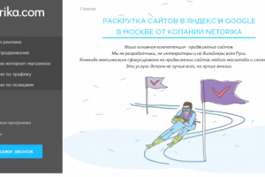 Тексты для студии NETORIKA (продвижение сайтов)