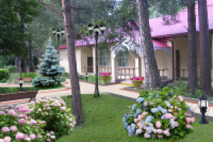 Пансионат для инвалидов по зрению, Московская область