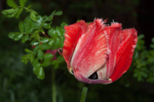 Работа 1881937