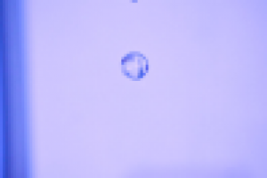 Работа 1881694