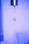 img1881694.png