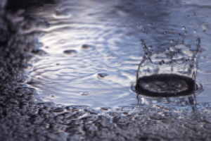 Работа 1881692