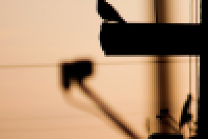 Работа 1881696