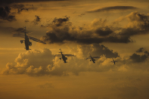 Работа 1881941