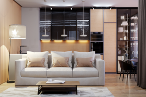 Кухня-гостинная