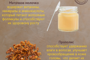 Инфографика для МП