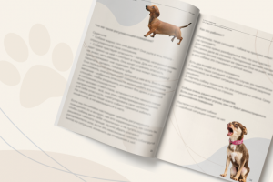 Дизайн гайда для кинолога-зоопсихолога