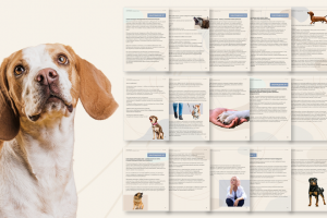Дизайн гайда для кинолога-зоопсихолога